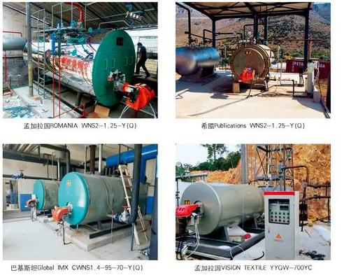 Gas industriale delle caldaie a vapore o evaporatore a petrolio economico ed affidabile
